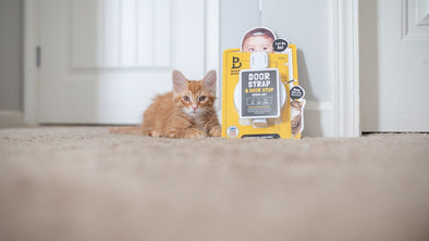 Happy 3rd Birthday Door Buddy!
