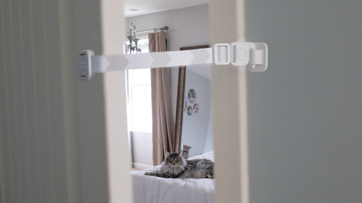 Door Buddy Gets Rave Review From PetPav to give cat some space!