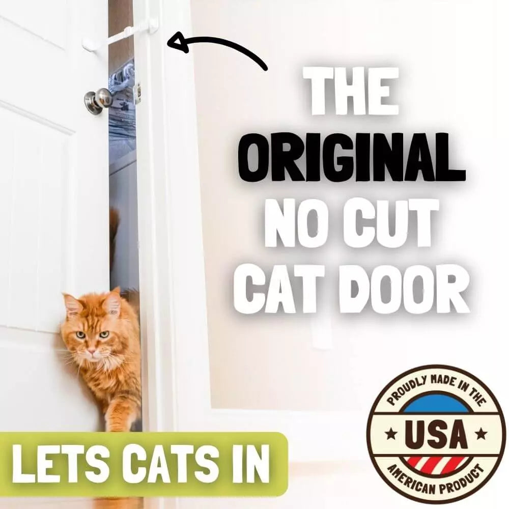 dog proof door latch for cats Door Buddy adjustable cat door strap for interior doors that blocks dogs and toddlers while letting cats safely pass through.
