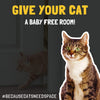 keep baby out of litter box