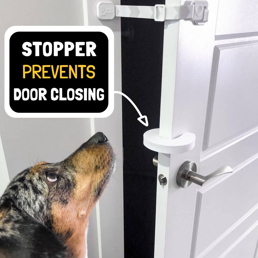 baby proof door stopper Door Buddy foam door pinch guard for baby proofing doors and creating controlled door openings to help keep dogs out of litter box rooms.