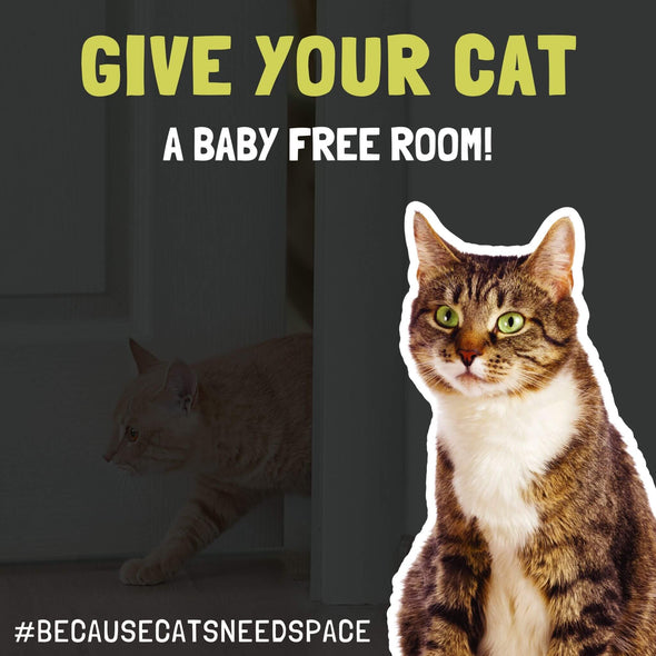 baby proof cat litter box