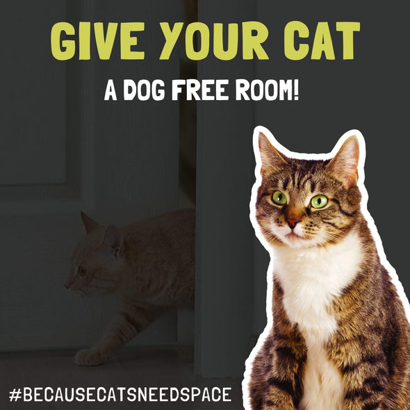 cat door gate alternative